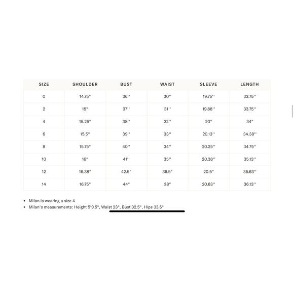 TUCKERNUCK Citron and Slate Blue Embroidered Long Sleeve Rhoda Tunic Dress 8 NWT - Picture 3 of 6